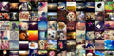 Story downloader for Instagram