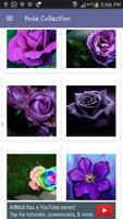 Rose Collection syot layar 2