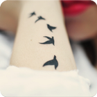 Tatto Designs иконка