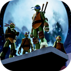 Turtle power ninja icône