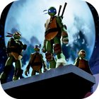 Turtle power ninja biểu tượng