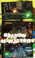 Shadow Ninja & Turtles 2 Affiche