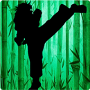 Night Fighter APK