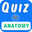Anatomy Exam Prep