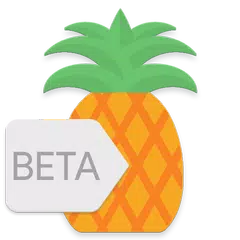 Pineapple - Icon Pack アプリダウンロード