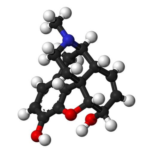 Opioid Converter