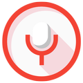 Voice Recorder