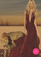 Shakira Wallpaper 截圖 3