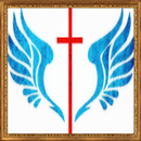 Shalom Multi Agency APK