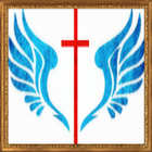 Shalom Multi Agency icon