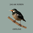Kicau Jalak Suren Offline icône