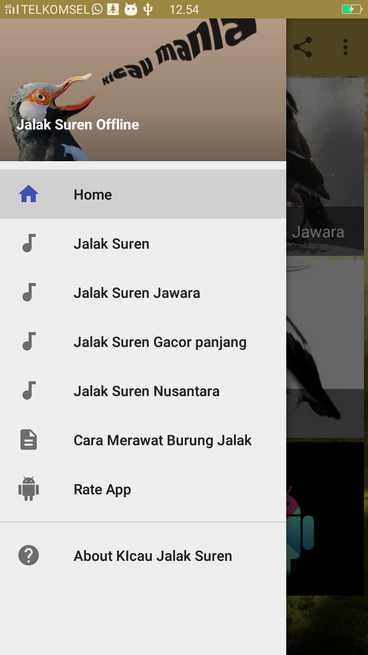 Kicau Jalak Suren Offline For Android Apk Download