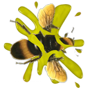 Bee Smasher APK