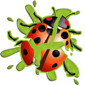 LadyBug Smasher icon