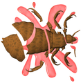 ”Louse Smasher