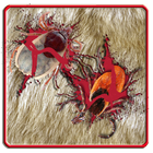 Tick Smasher ikona