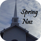 SpringNaz icon