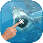 Magic Touch - Shark In Water icône
