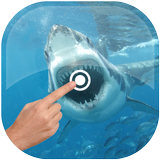 Magic Touch - Shark In Water أيقونة