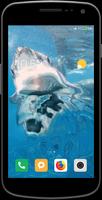 Magic Touch - Shark In Water تصوير الشاشة 3