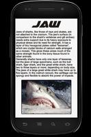 Shark Info Book captura de pantalla 1