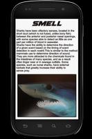 Shark Info Book captura de pantalla 2