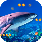 3D Angry Shark иконка