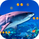 3D Angry Shark иконка