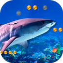 3D Angry Shark aplikacja