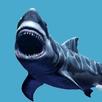 Shark  Jaws Attack Game APK