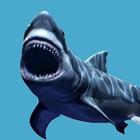 Shark  Jaws Attack Game icône
