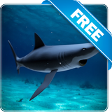 Shark attack lwp Free icon