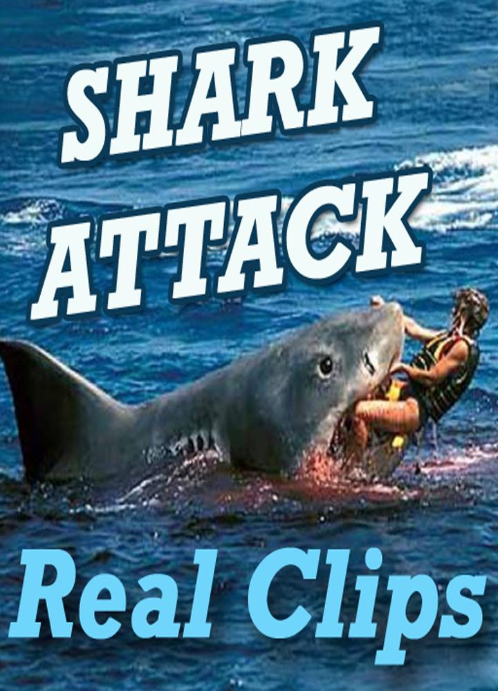 SHARK Attack Videos - Live Real Time Funny Clips for Android - APK Download