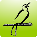 Mocking Pal (mockup/wireframe) APK