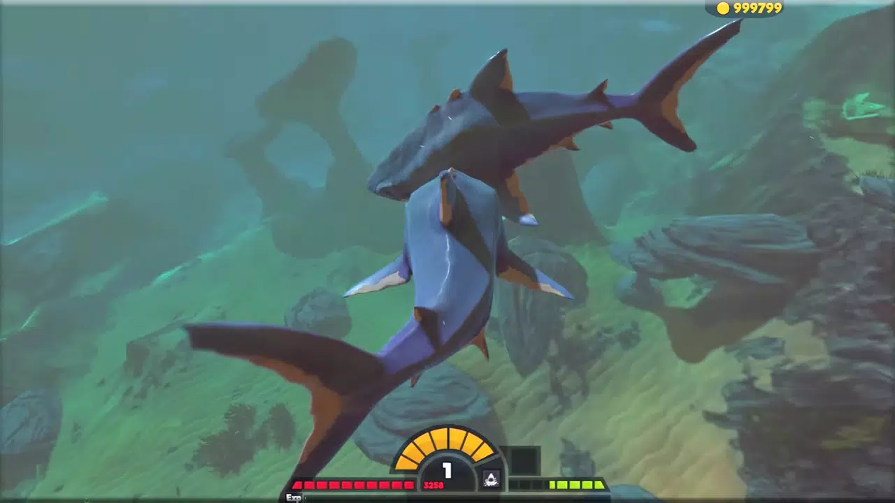 Shark Feed APK for Android Download