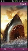 Shark Wallpaper HD screenshot 2