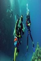 Dahab Tour Plakat