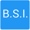 B.S.I. - Basic System Info