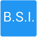 B.S.I. - Basic System Info APK