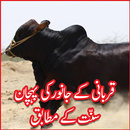 Qurbani kay janwar ki pehchan APK