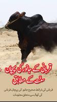 Poster Qurbani kay janwar ki pehchan