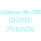 Akame Ga Kill 2048 icône
