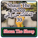 شون ذا شيب - shaun the sheep APK