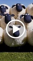 shaun the sheep video HD Affiche