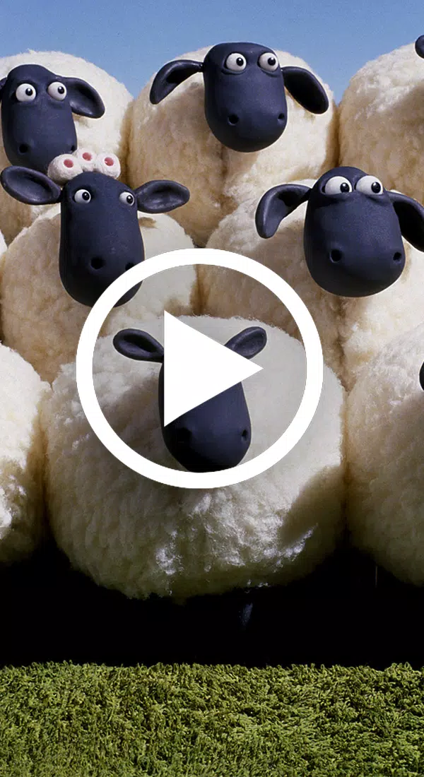 shaun the sheep video HD APK for Android Download shaun the sheep video HD APK for Android Download