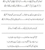 urdu poetry ภาพหน้าจอ 2