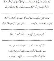 2 Schermata urdu poetry