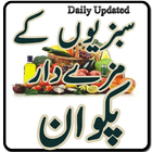 recipes in urdu icône