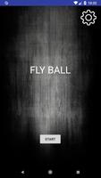 Fly Ball Affiche