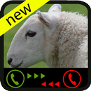 Vertual Call From Sheep - Prank APK